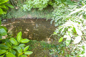 Photo 30- click for photo gallery